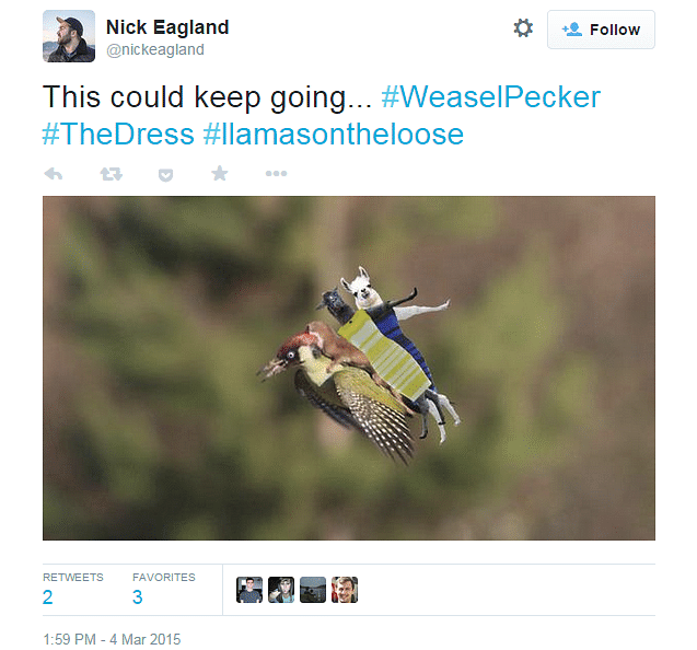 blue and black dress white and gold dress weaselpecker meme, the super funny #weaselpecker memes you have to see!